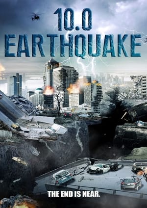 10.0 Earthquake 2014 Hindi Dual Audio [800MB] HD Poster Download - Filmyzilla
