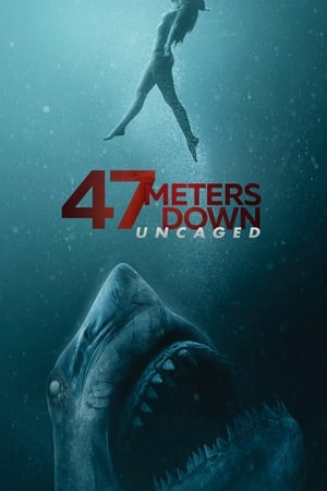 47 Meters Down: Uncaged (2019) Hindi Dual Audio [950MB] HD Poster Download - Filmyzilla