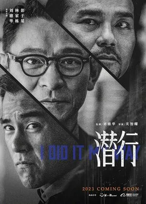 I Did It My Way 2023 Hindi Dual Audio HD Poster Download - Filmyzilla