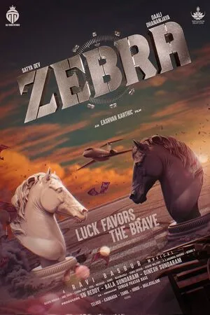 Zebra 2024 Hindi Dual Audio HD Poster Download - Filmyzilla