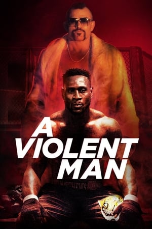A Violent Man 2017 Hindi Dual Audio 330MB HD Poster Download - Filmyzilla