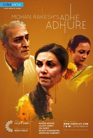 Adhe Adhure 2017 Full Movie [880MB] Download HD Poster Download - Filmyzilla