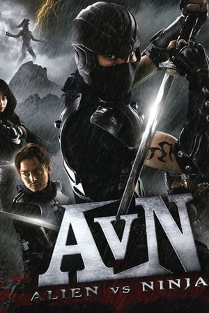 Alien vs Ninja 2010 Hindi Dual Audio [650MB] HD Poster Download - Filmyzilla