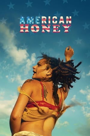 American Honey (2016) Hindi Dual Audio 500MB HD Poster Download - Filmyzilla