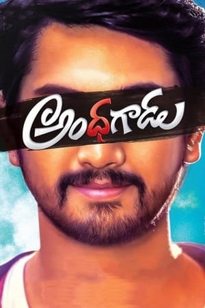 Andhhagadu 2017 Hindi Dual Audio [1.4GB] HD Poster Download - Filmyzilla