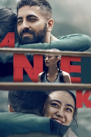 Anek 2022 Hindi Movie – HD Poster Download - Filmyzilla