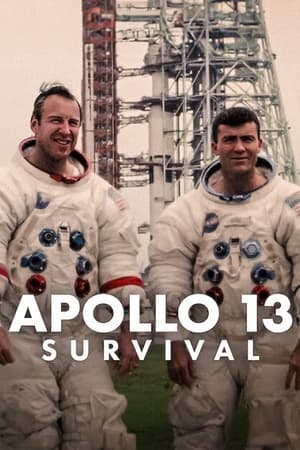 Apollo 13: Survival (2024) Hindi Dual Audio – 720p – HD Poster Download - Filmyzilla