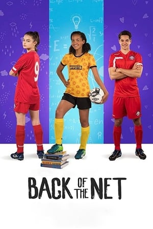 Back of the Net (2019) Hindi Dual Audio [800MB] HD Poster Download - Filmyzilla
