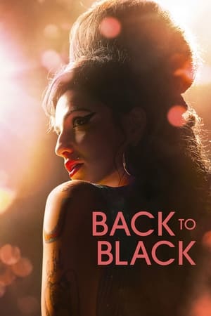 Back to Black (2024) Hindi Dual Audio – 720p – HD Poster Download - Filmyzilla
