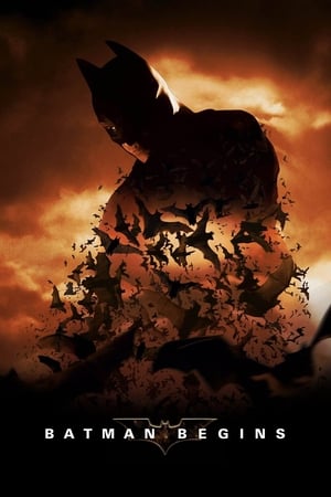 Batman Begins (2005) Hindi Dual Audio [980MB] Download HD Poster Download - Filmyzilla