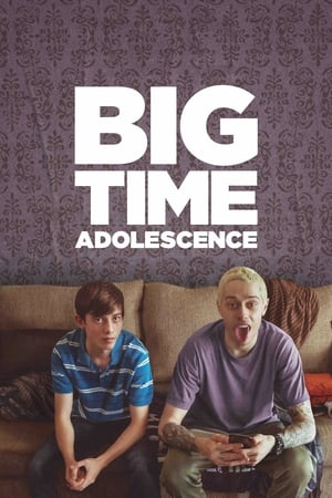 Big Time Adolescence (2019) Hindi Dual Audio – HD Poster Download - Filmyzilla
