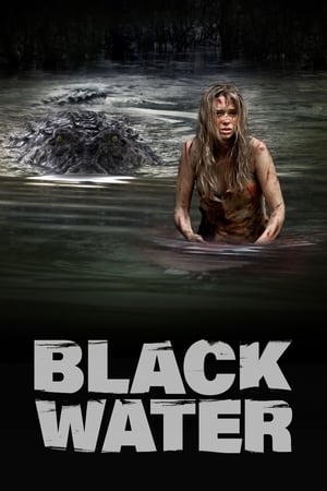 Black Water (2007) Hindi Dual Audio [1GB] HD Poster Download - Filmyzilla