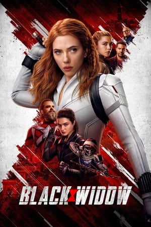 Black Widow (2021) Hindi Dual Audio [1.2GB] HD Poster Download - Filmyzilla