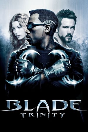 Blade Trinity (2004) 100mb Hindi Dual Audio movie Download HD Poster Download - Filmyzilla