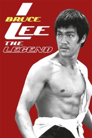Bruce Lee the Legend 1984 Hindi Dual Audio HDTVRip [1GB] HD Poster Download - Filmyzilla