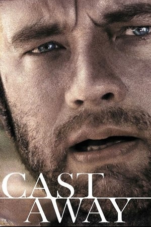 Cast Away 2000 Hindi Dual Audio 450MB HD Poster Download - Filmyzilla