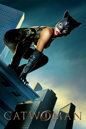 Catwoman (2004) Hindi Dual Audio [930MB] HD Poster Download - Filmyzilla