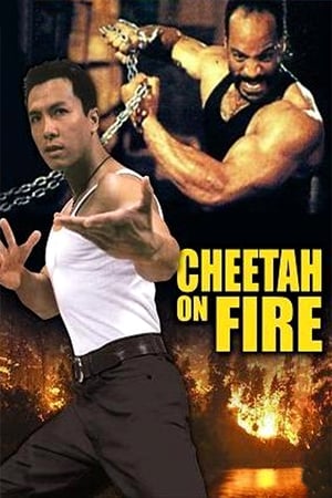 Cheetah on Fire 1992 Hindi Dual Audio 290MB HD Poster Download - Filmyzilla