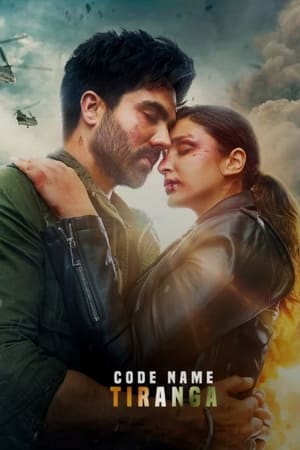 Code Name: Tiranga 2022 Hindi Movie DVDScr – HD Poster Download - Filmyzilla