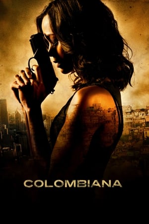 Colombiana (2011) Hindi Dual Audio [1.1GB] HD Poster Download - Filmyzilla