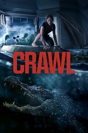Crawl (2019) Hindi Dual Audio [800MB] HD Poster Download - Filmyzilla