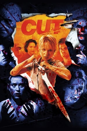 Cut (2000) Hindi Dual Audio [1.1GB] HD Poster Download - Filmyzilla