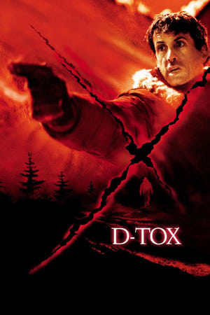 D-Tox Eye See You 2002 Hindi Dual Audio [700MB] HD Poster Download - Filmyzilla