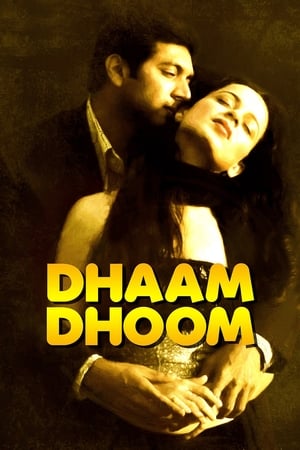 Dhaam Dhoom 2008 Dual Audio [Hindi - Tamil] 430MB Download HD Poster Download - Filmyzilla