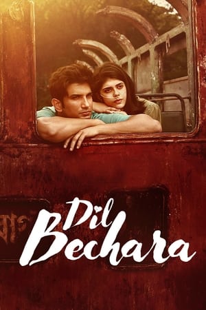 Dil Bechara 2020 Hindi Audio HD Poster Download - Filmyzilla