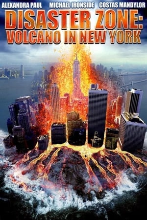 Disaster Zone Volcano in New York 2006 Hindi Dual Audio 300MB HD Poster Download - Filmyzilla