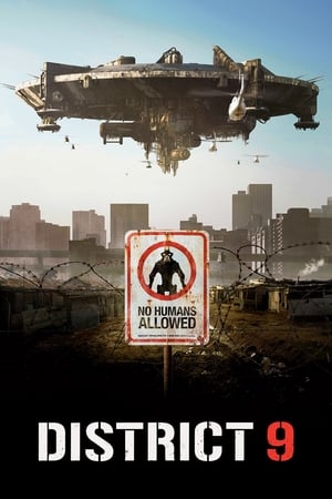 District 9 (2009) Hindi Dual Audio 350MB HD Poster Download - Filmyzilla