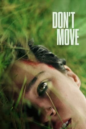 Dont Move 2024 Hindi ORG Dual Audio – – HD Poster Download - Filmyzilla