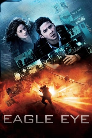 Eagle Eye (2008) Hindi Dual Audio 330MB ESubs HD Poster Download - Filmyzilla