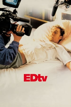 Edtv (1999) Hindi Dual Audio 350MB HD Poster Download - Filmyzilla