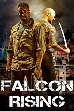 Falcon Rising (2014) Hindi Dual Audio 300MB HD Poster Download - Filmyzilla