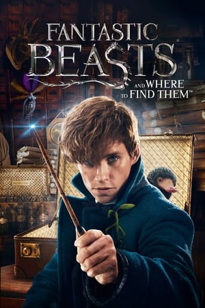 Fantastic Beasts and Where to Find Them 2016 Full Movie HC [] [1GB] HD Poster Download - Filmyzilla