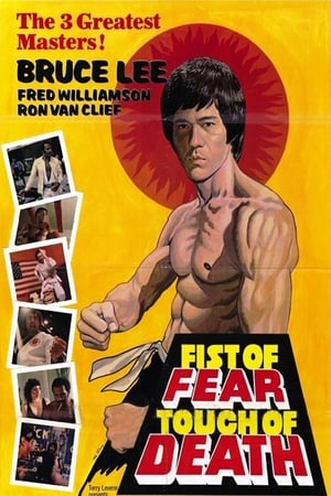 Fist of Fear Touch of Death 1980 Hindi Dual Audio 300MB HD Poster Download - Filmyzilla