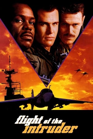 Flight Of The Intruder 1991 Hindi Dubbed HD Poster Download - Filmyzilla