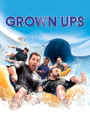 Grown Ups (2010) Hindi Dual Audio 300MB HD Poster Download - Filmyzilla