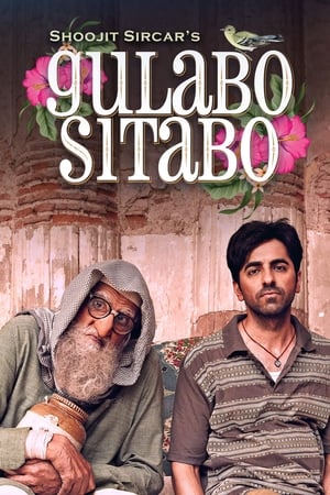 Gulabo Sitabo 2020 Hindi Movie - [360MB] HD Poster Download - Filmyzilla
