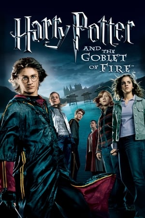 Harry Potter and the Goblet of Fire (2005) 100MB Dual Audio [Hindi-Enlish] HD Poster Download - Filmyzilla