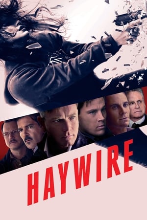 Haywire (2011) Hindi Dual Audio 300MB HD Poster Download - Filmyzilla