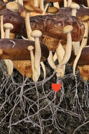 Heaven (2022) Hindi Movie – HD Poster Download - Filmyzilla