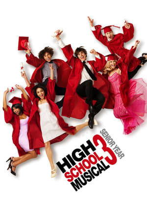 High School Musical 3 (2008) Hindi Dual Audio [950MB] HD Poster Download - Filmyzilla