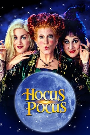 Hocus Pocus 1993 Hindi Dual Audio [850MB] HD Poster Download - Filmyzilla