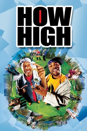 How High (2001) Hindi Dual Audio [800MB] HD Poster Download - Filmyzilla