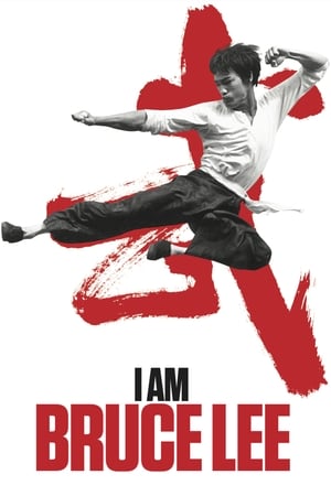 I Am Bruce Lee 2012 300MB Hindi Dual Audio HD Poster Download - Filmyzilla