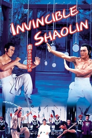 Invincible Shaolin 1978 Hindi Dual Audio 300MB HD Poster Download - Filmyzilla