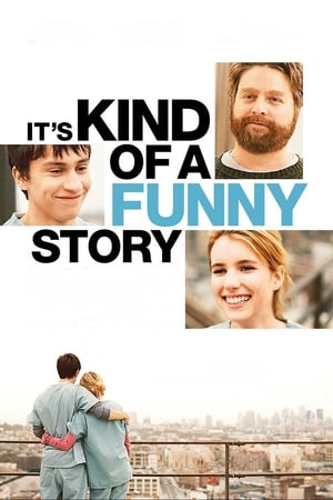 Its Kind of a Funny Story 2010 Hindi Dual Audio 330MB HD Poster Download - Filmyzilla