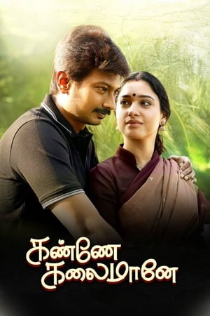 Kanne Kalaimaane 2019 (Hindi - Tamil) Dual Audio 450MB HD Poster Download - Filmyzilla